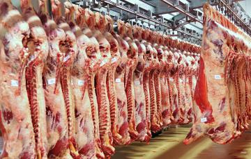 MÁY LẠNH CÔNG NGHIỆP 1